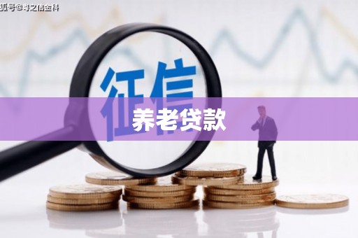 鹤岗养老贷款