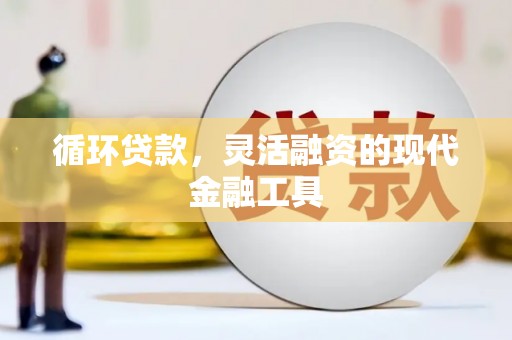 鹤岗循环贷款，灵活融资的现代金融工具