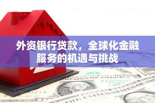 鹤岗外资银行贷款，全球化金融服务的机遇与挑战
