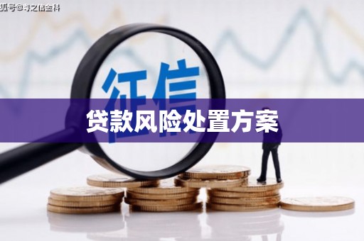 鹤岗贷款风险处置方案