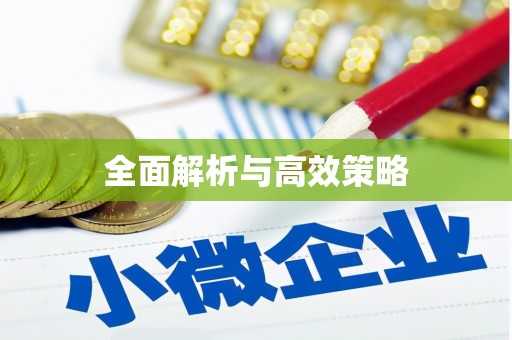 鹤岗全面解析与高效策略