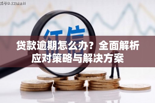 鹤岗贷款逾期怎么办？全面解析应对策略与解决方案