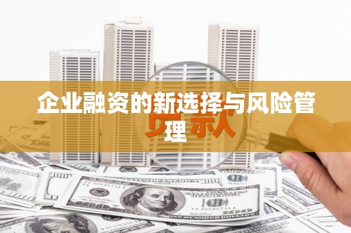 鹤岗企业融资的新选择与风险管理
