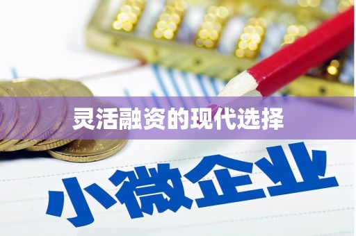 鹤岗灵活融资的现代选择