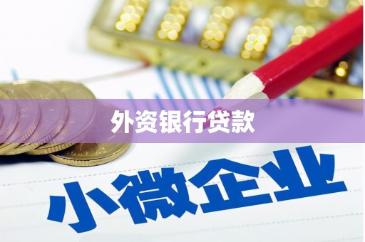 鹤岗外资银行贷款