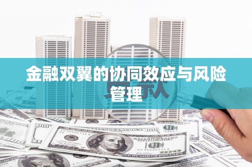 鹤岗金融双翼的协同效应与风险管理