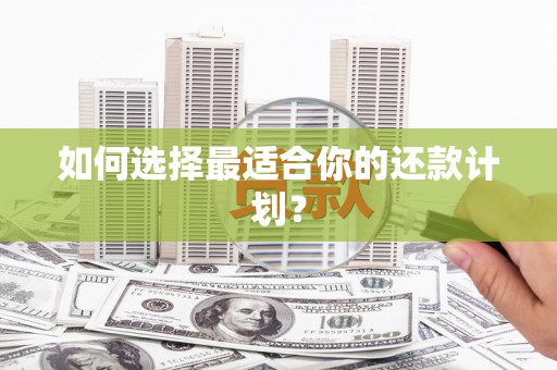 鹤岗如何选择最适合你的还款计划？