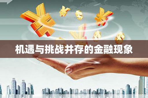 鹤岗机遇与挑战并存的金融现象