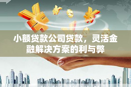 鹤岗小额贷款公司贷款，灵活金融解决方案的利与弊